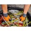 GANT MANUTENTION 5116FC AGILITY DRY - JUBA