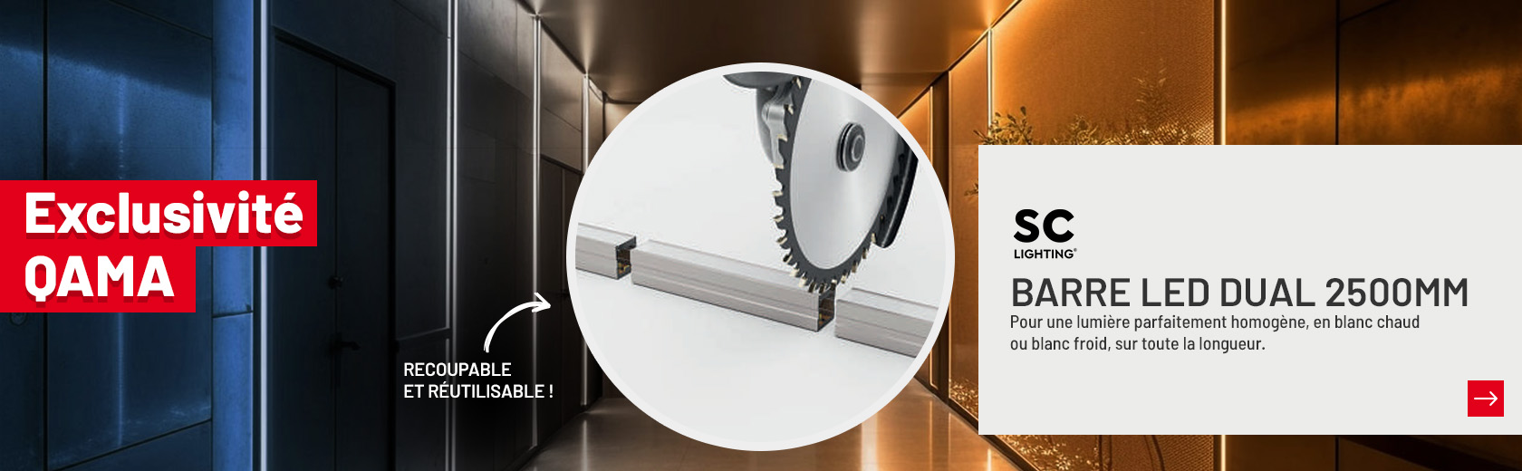 202602 EXCLU LAMPE DUAL